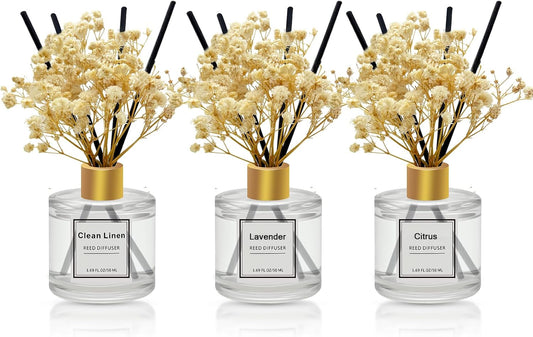 Reed Diffuser Set of 3 Pack,Clean Linen,Eucalyptus & Mint,Ocean Scented Oil Diffuser with 4 Sticks,Reed Diffusers for Home,Living Room,Bathroom Air Freshener Diffuser,50ml x 3