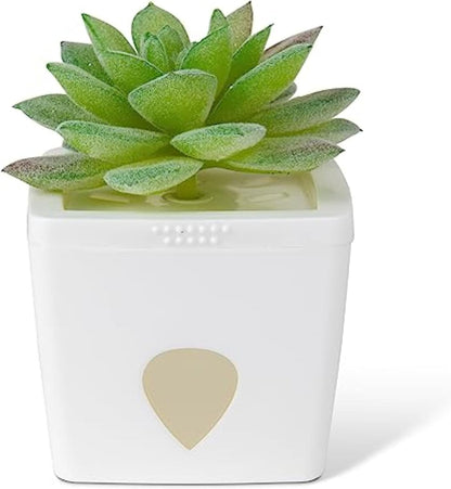 ZendoZones Succulent Fruit Fly Trap – Dark Green Design with Terracotta Base – Eco-Friendly Indoor Fruit Fly Control – Easy-to-Use Decorative Trap | Eco-Friendly Lure; Decorative Dark Green Succulent Design; Refillable; Terra Cotta Base; Easy to Use