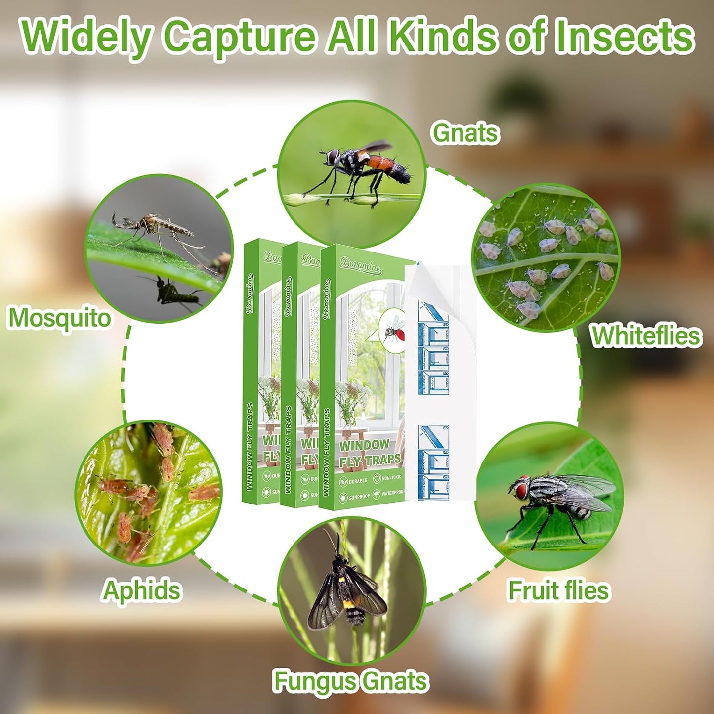 60 Pack Window Fly Traps, Window Sticky Traps, Sticky Non-Toxic Clear Fly Paper Indoor for Home