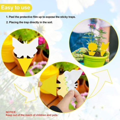 LFSYS 64 Pcs Sticky Traps for gnat, Yellow Sticky Fruit Fly Traps for Indoors Plants, Indoor Safe for Gnat, Fruit Fly, White Fly, Aphid, Leaf Miner