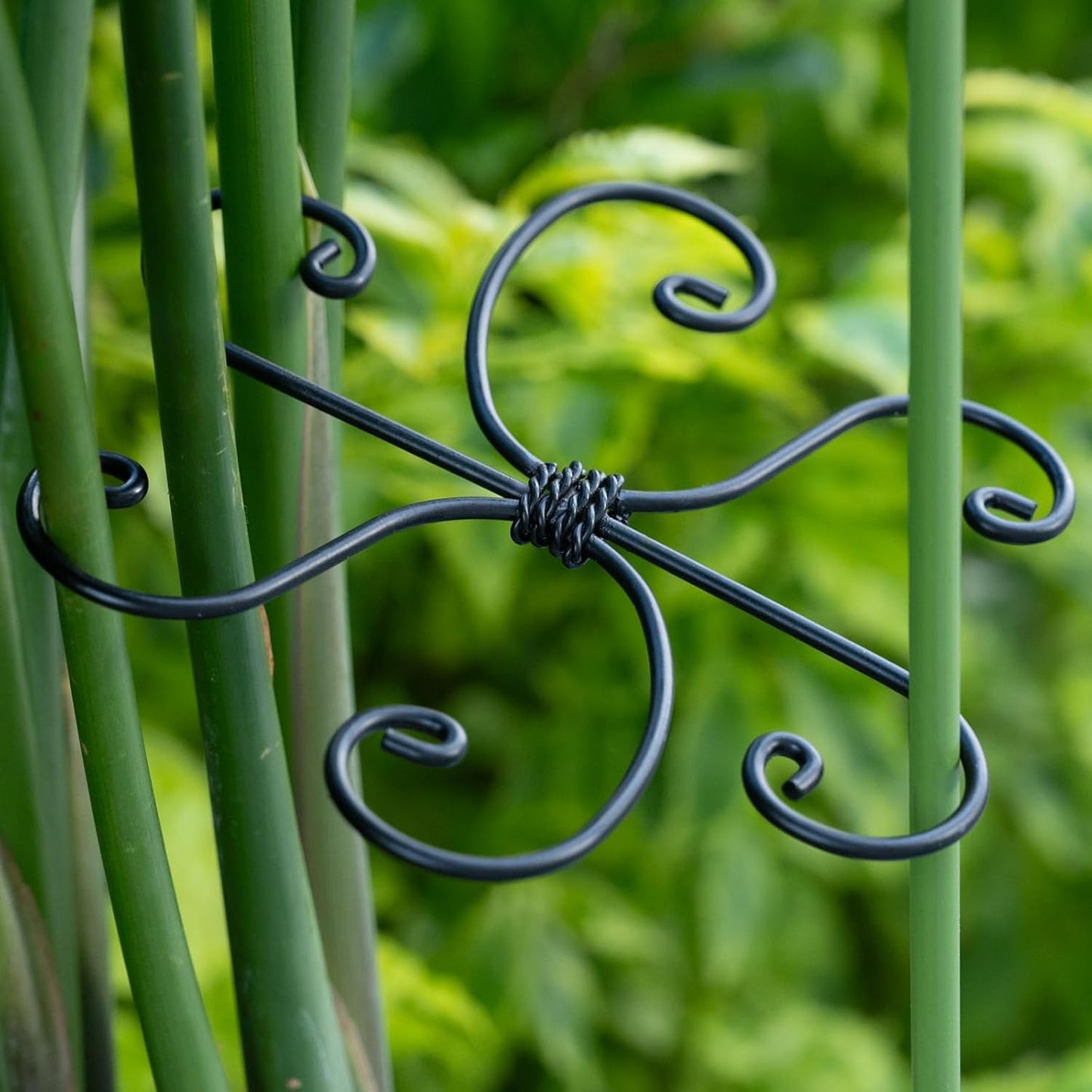 Yohsnor Monstera Plant Stem Support System - 5 Piece Set (5.5x4.7in) | Durable Plant Support Stakes for Climbing Plants & Fishbone Cactus | Ideal Leaf Stabilizer for Indoor Plants & Monstera Care