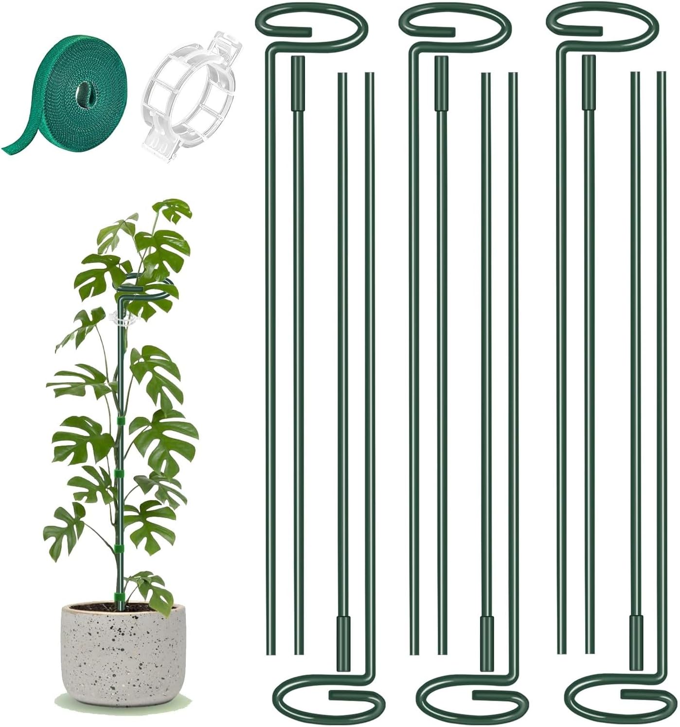 6 Pack 24 in Extendable Plant Support Stakes for Outdoor Plants and Flowers | Adjustable 12 to 24 Inch garden sticks for indoor outdoor, fits orchid, tomato, vegetables and monstera