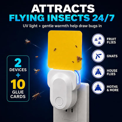 Flying Insect Trap Indoor Plug in, UV Light Fly Trap for Home | with 10 Sticky Glue Cards to Catch Fruit Flies, Gnats & Moths, Quiet Odor-Free Bug Catcher for Kitchen, Bedroom,Living Spaces