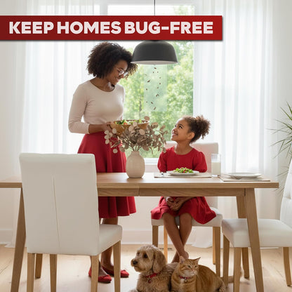 XFasten Window Fly Traps Sticky Clear 100-Pack Fruit Fly Traps for Indoors Sticky, Residue-Free, Odorless, Discreet Adhesive Indoor Catcher for Fruit Flies Houseflies, Gnats on Windows Kitchen Garage