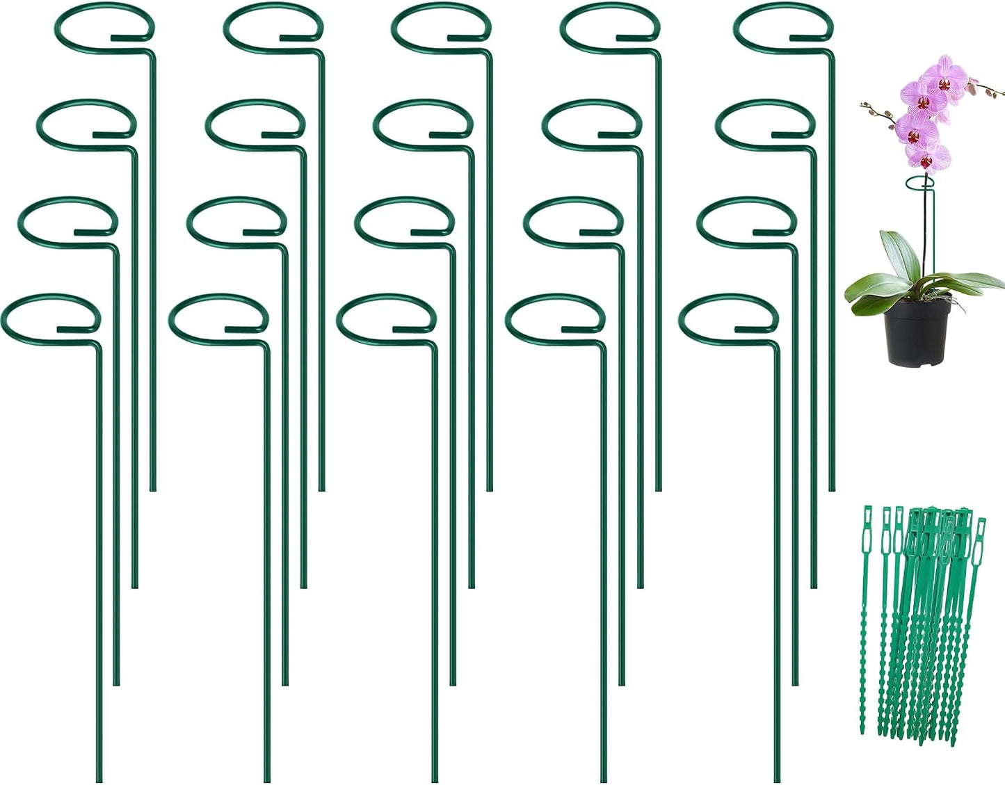 FEED GARDEN 16 Inch 12 Pack Plant Support Stakes, Metal Garden Flower Stakes and Supports for Outdoor Plants, Plant Stem Support with 24 Twist Ties for Amaryllis Lily Rose Peony Tomatoes Gladiolus