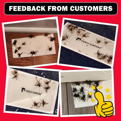 LULUCATCH Cricket Insect Glue Traps - 6 Pack Bug Cockroach Sticky Traps, Large Spider Trap with Pre-Baited Attractant, Highly Effective Glue Boards Indoor, Non-Toxic Pet Safe, Easy to Use