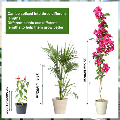 Mwellewm 6 Sets Plant Stakes 12/25/36 Inch Adjustable Plant Support Stakes Tall for Indoor Outdoor Plant Holder Stick Steel Garden Stem Pole Amaryllis Stakes with 30 Clip for Tomato Orchid Lily Flower