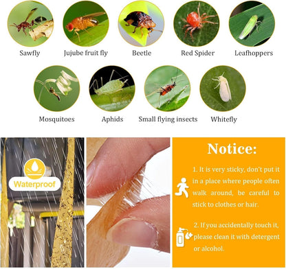 Fly Strips Trap Indoor Sticky Hanging, 24 Pack Fly Paper Traps Outdoor, Flies Tape Paper Ribbon Rolls for Home Kitchen, Fruit & Bug Gnat Catchers for Inside, Killer for Winged Insect