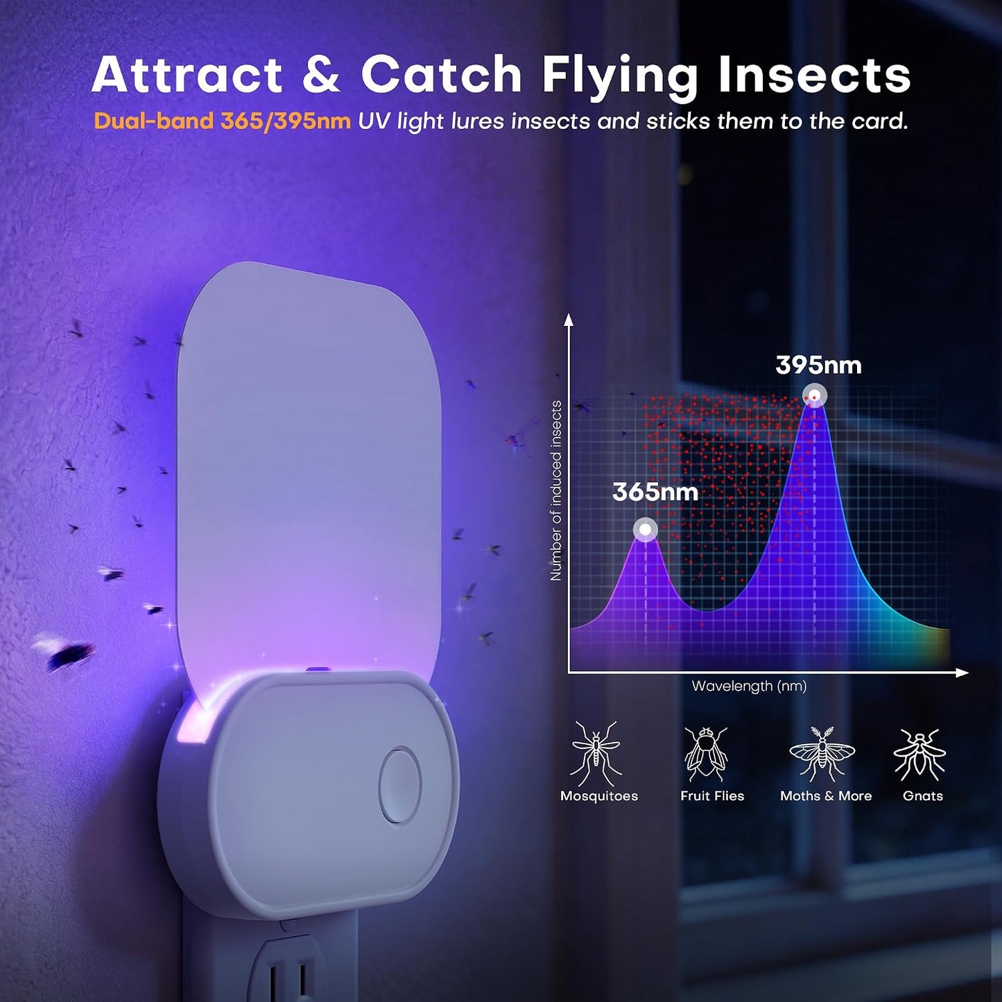 Fruit Fly Traps for Indoors (2 Device + 20 Refills), Gnat Traps for House Indoor, Plug in Fly Traps Indoor for Home, Kitchen&Living Room