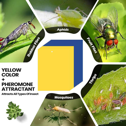 Qualirey 150 Pcs 6x8 Inch Yellow Sticky Traps for Gnats, Dual-Sided Sticky Gnat Traps for Indoor Outdoor Plants, Pest Control for Fungus Gnats, Fruit Flies, Whiteflies – Bulk Pack with Twist Ties