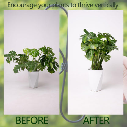 Yohsnor Monstera Plant Stem Support System - 5 Piece Set (5.5x4.7in) | Durable Plant Support Stakes for Climbing Plants & Fishbone Cactus | Ideal Leaf Stabilizer for Indoor Plants & Monstera Care