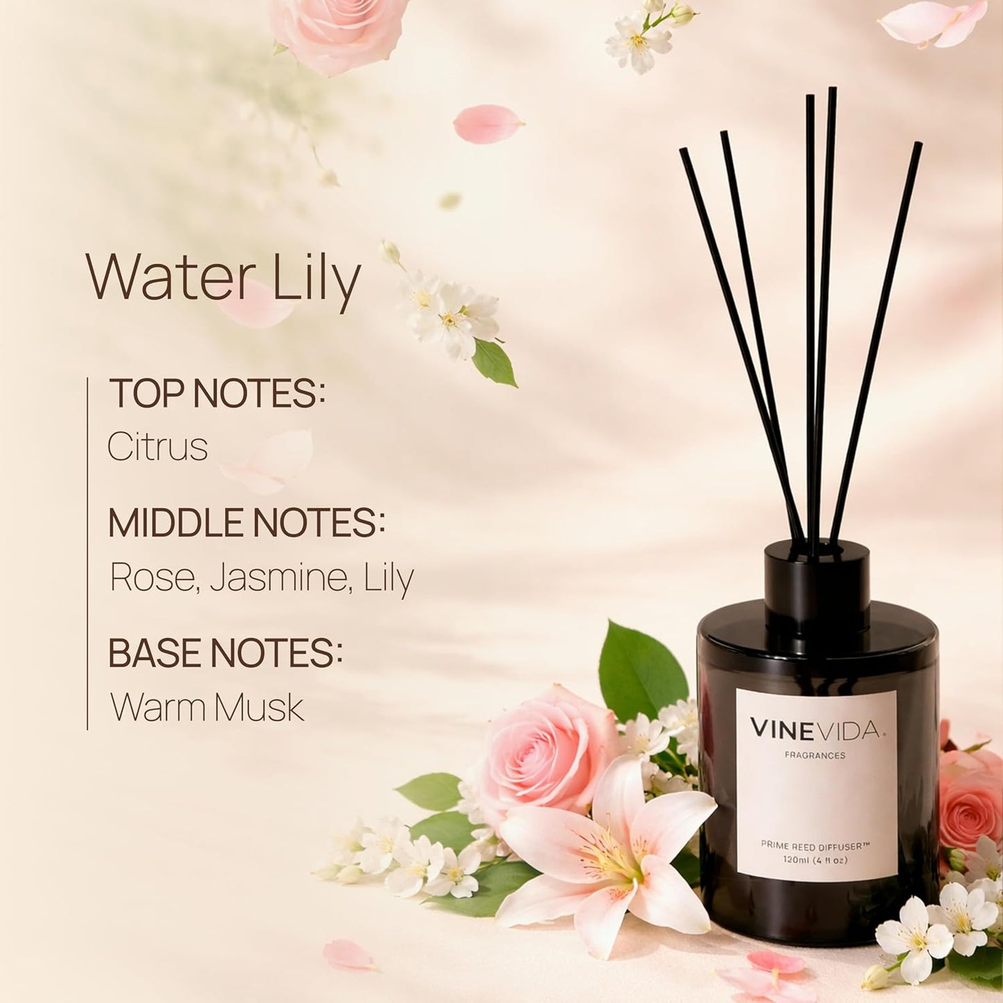 VINEVIDA | White Tea & Sage | Reed Diffuser for Home & Bathroom | Long-Lasting Scent Sticks Set | Oil Stick Diffuser | Bathroom Scent