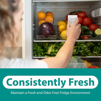 Refrigerator Deodorizer with Zeolites (2-Pack) - Odor Eliminator for Fridge & Freezer - Outshines Baking Soda and Bamboo Charcoal Bags - Long-Lasting, & Safe