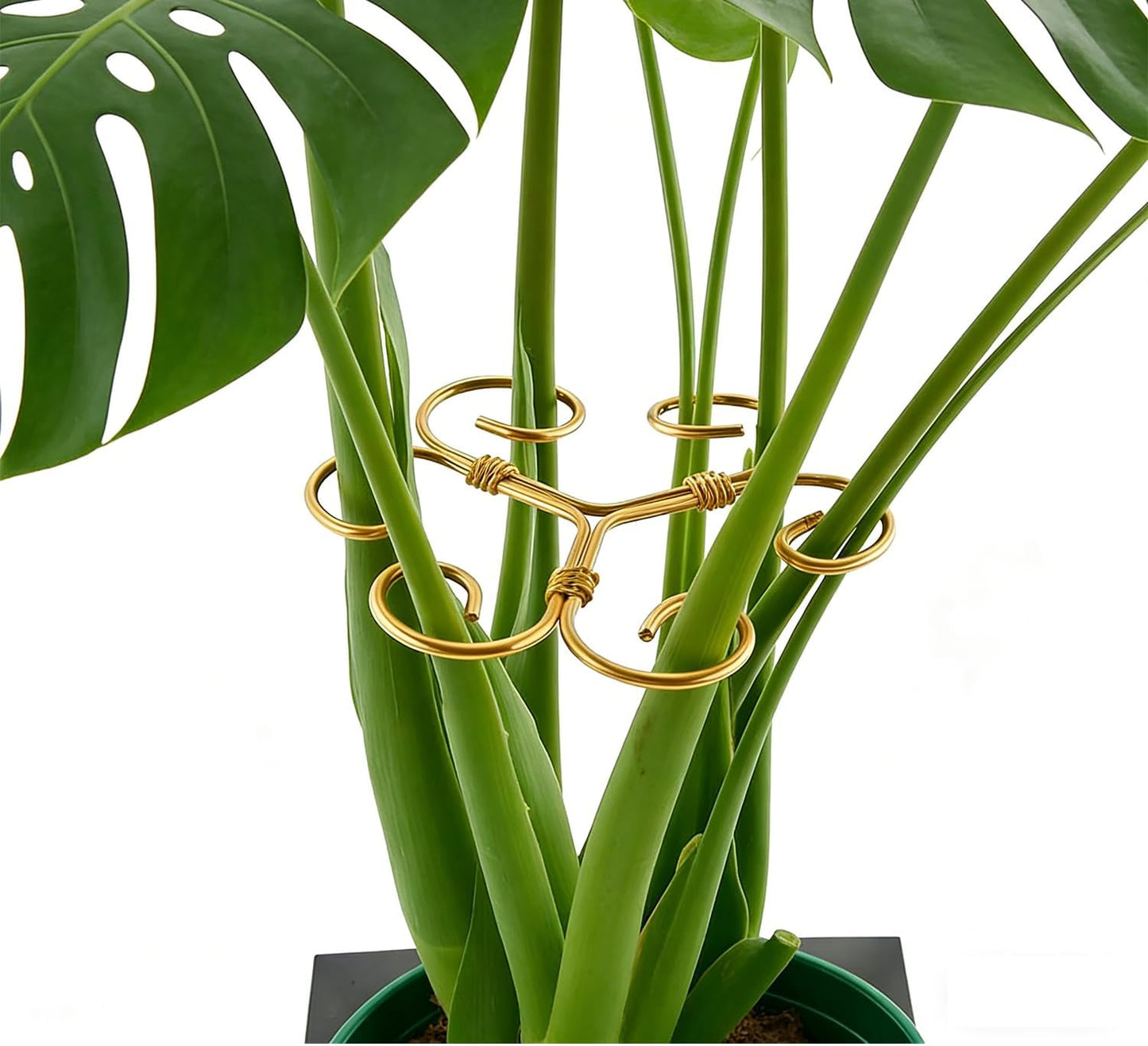 YAPROMO 4PCS Iron Monstera Plant Support - 4.1IN Plant Support Stakes for Indoor Plants, Plant Stakes and Supports, Ideal Plant stem Support for Turtle Shell Bamboo & Houseplants (A+B)