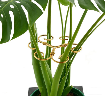 YAPROMO 4PCS Iron Monstera Plant Support - 4.1IN Plant Support Stakes for Indoor Plants, Plant Stakes and Supports, Ideal Plant stem Support for Turtle Shell Bamboo & Houseplants (A+B)
