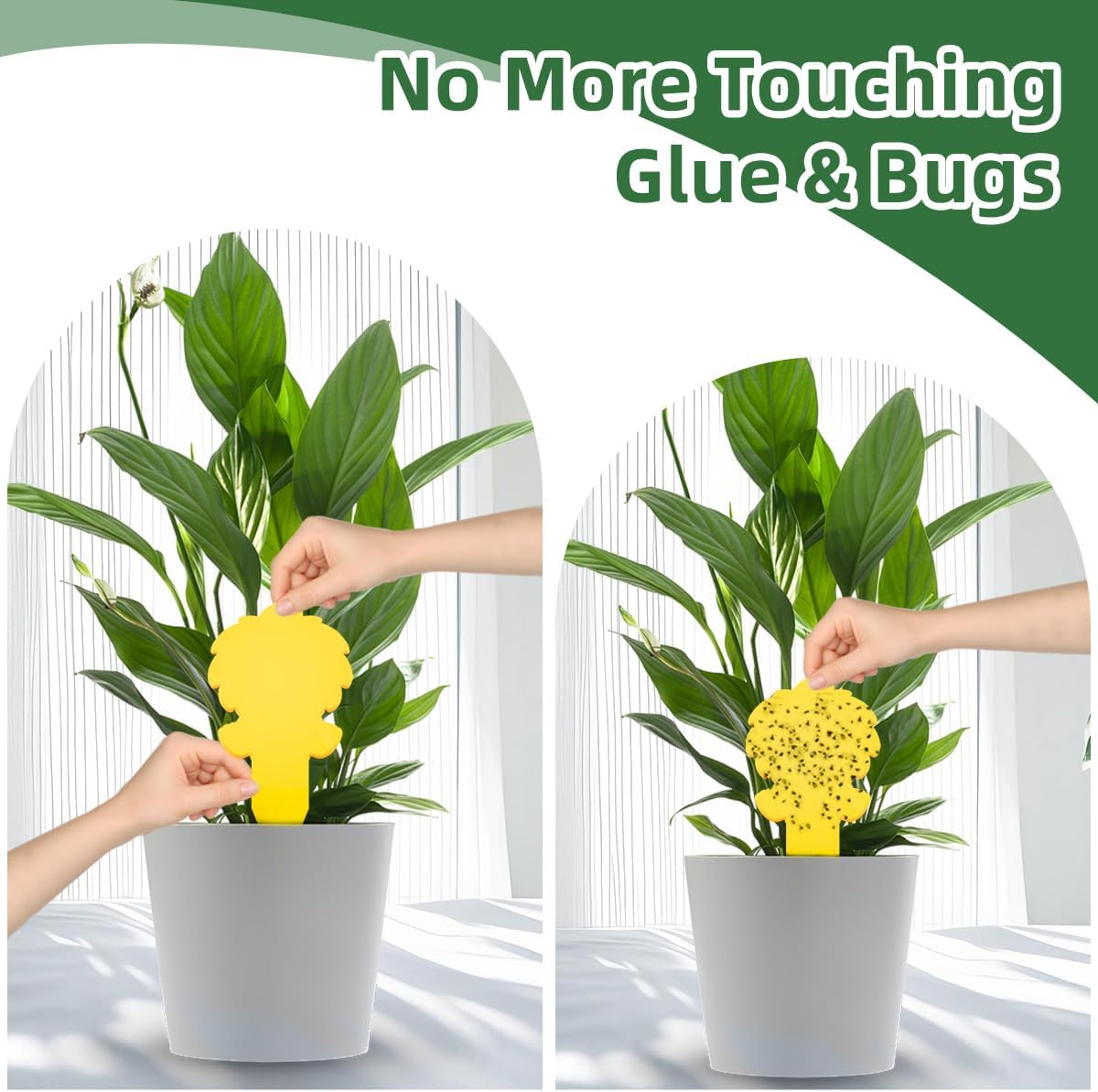 58 Pack Yellow Sticky Gnat Traps for Plants - Fungus Gnat Killer, Fruit Fly Traps for Indoors, Gnat Sticky Traps for Plants, Family Friendly Design, Sunflower + Butterfly Shapes