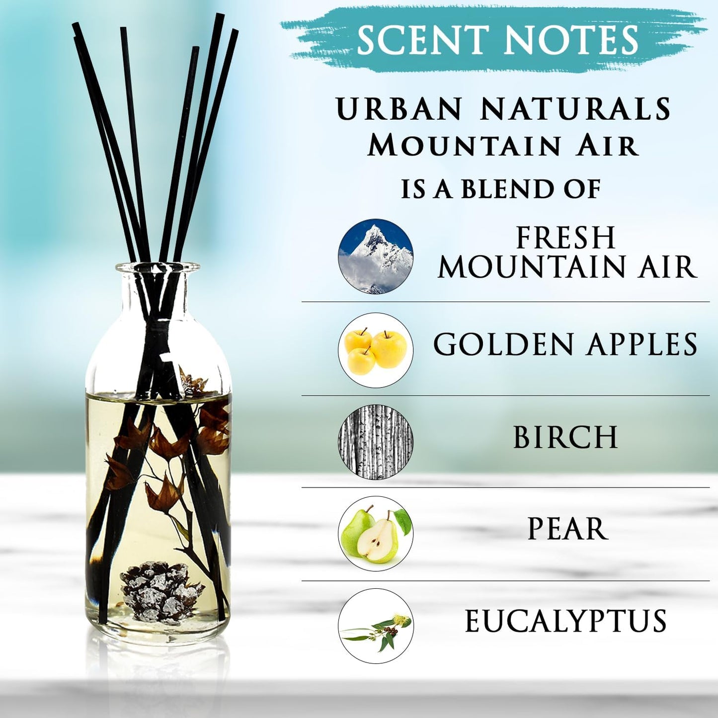 Urban Naturals Smoked Vanilla Reed Diffuser Set with Vanilla Bean, Sandalwood & Leather | Made in the USA - Colors A