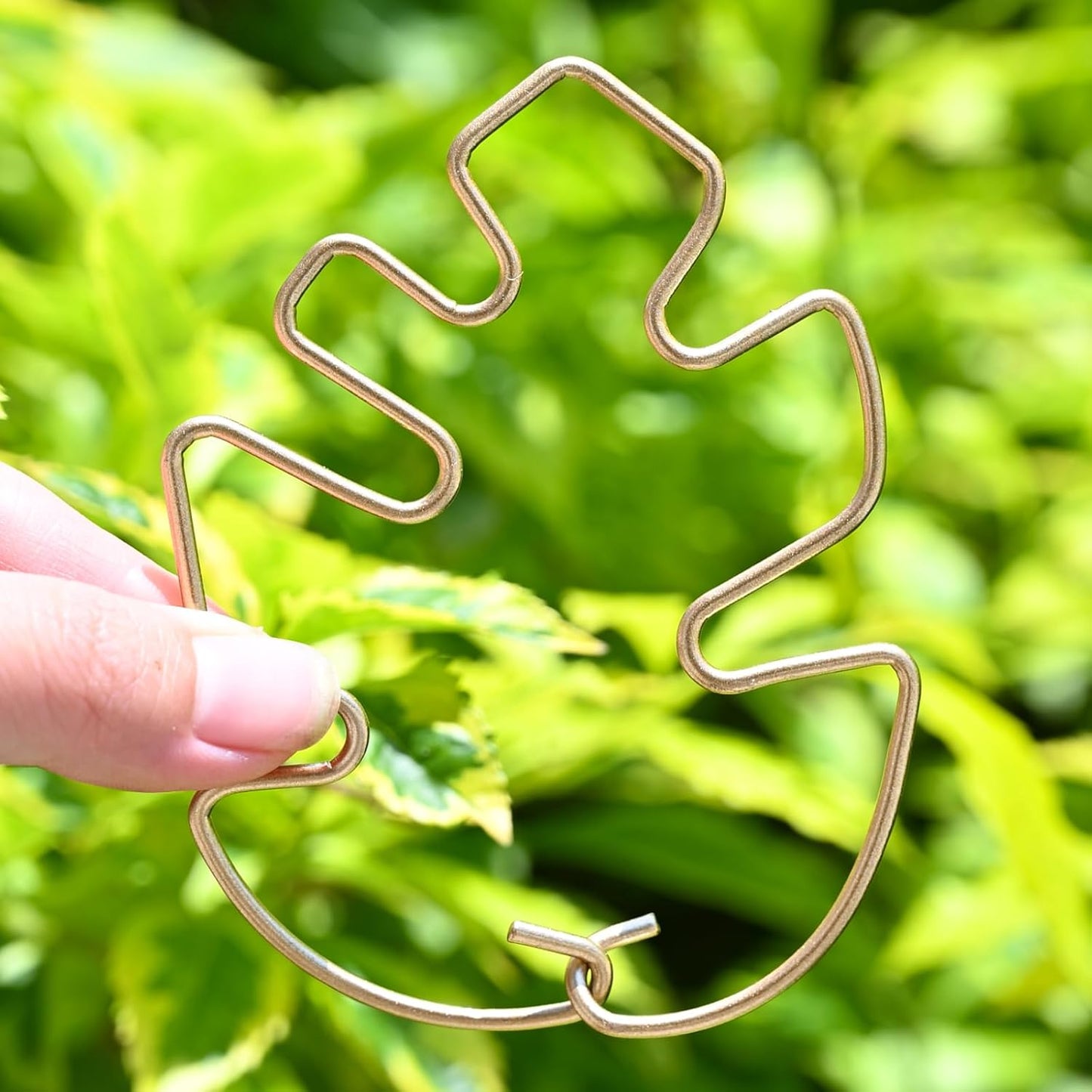 Yohsnor Monstera Plant Stem Support System - 5 Piece Set (5.5x4.7in) | Durable Plant Support Stakes for Climbing Plants & Fishbone Cactus | Ideal Leaf Stabilizer for Indoor Plants & Monstera Care