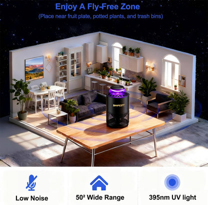 BANPESTT Automatic Insect Trap: Dusk-to-Dawn Sensor & Powerful Suction Quiet, Non-Zapper for Fruit Flies, Gnats, Mosquitoes | Includes 6 Glue Boards & UV Light (Black)