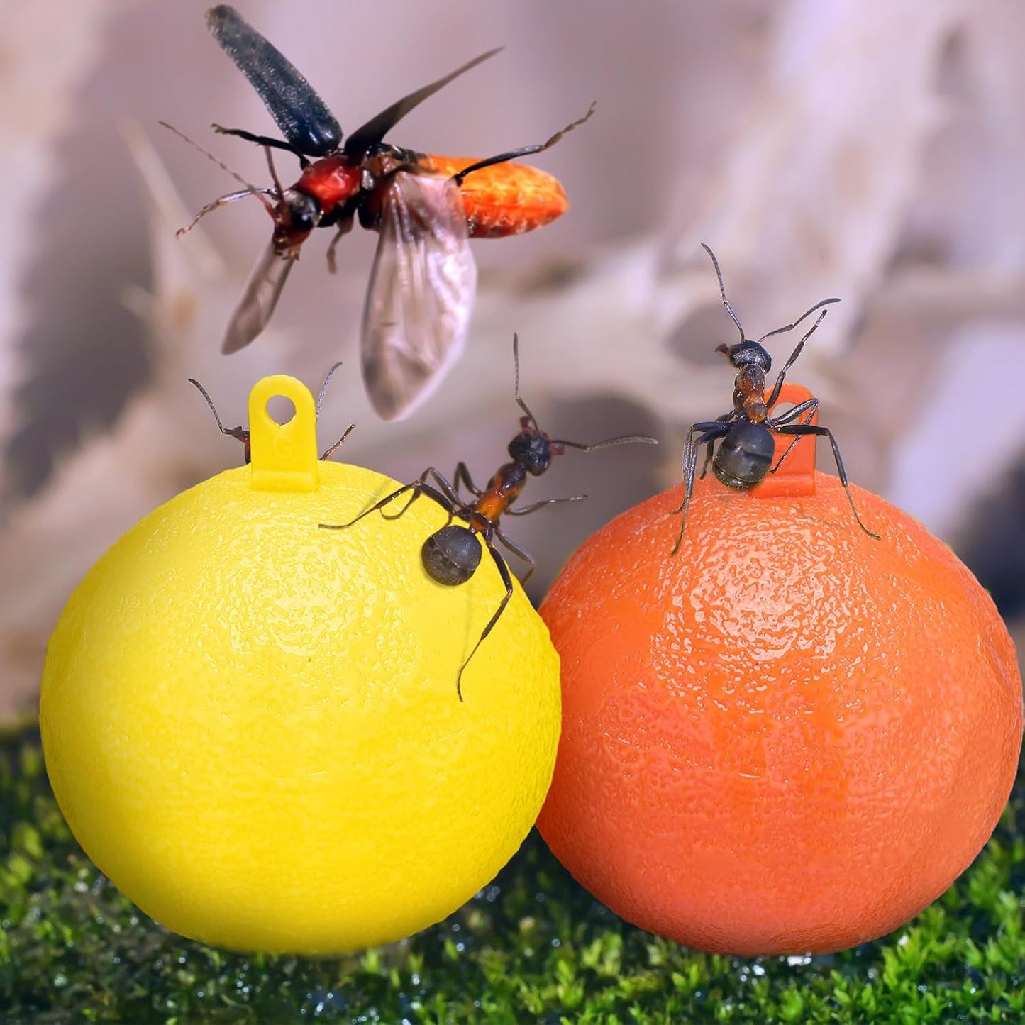 Qualirey 10 Pcs Sticky Fruit Fly Trap Ball Adhesive Fly Catching Ball Sticky Glue Fly Gnat Wasp Hornet Mosquito Bugs Flying Insects Trap Ball Traps (Yellow)