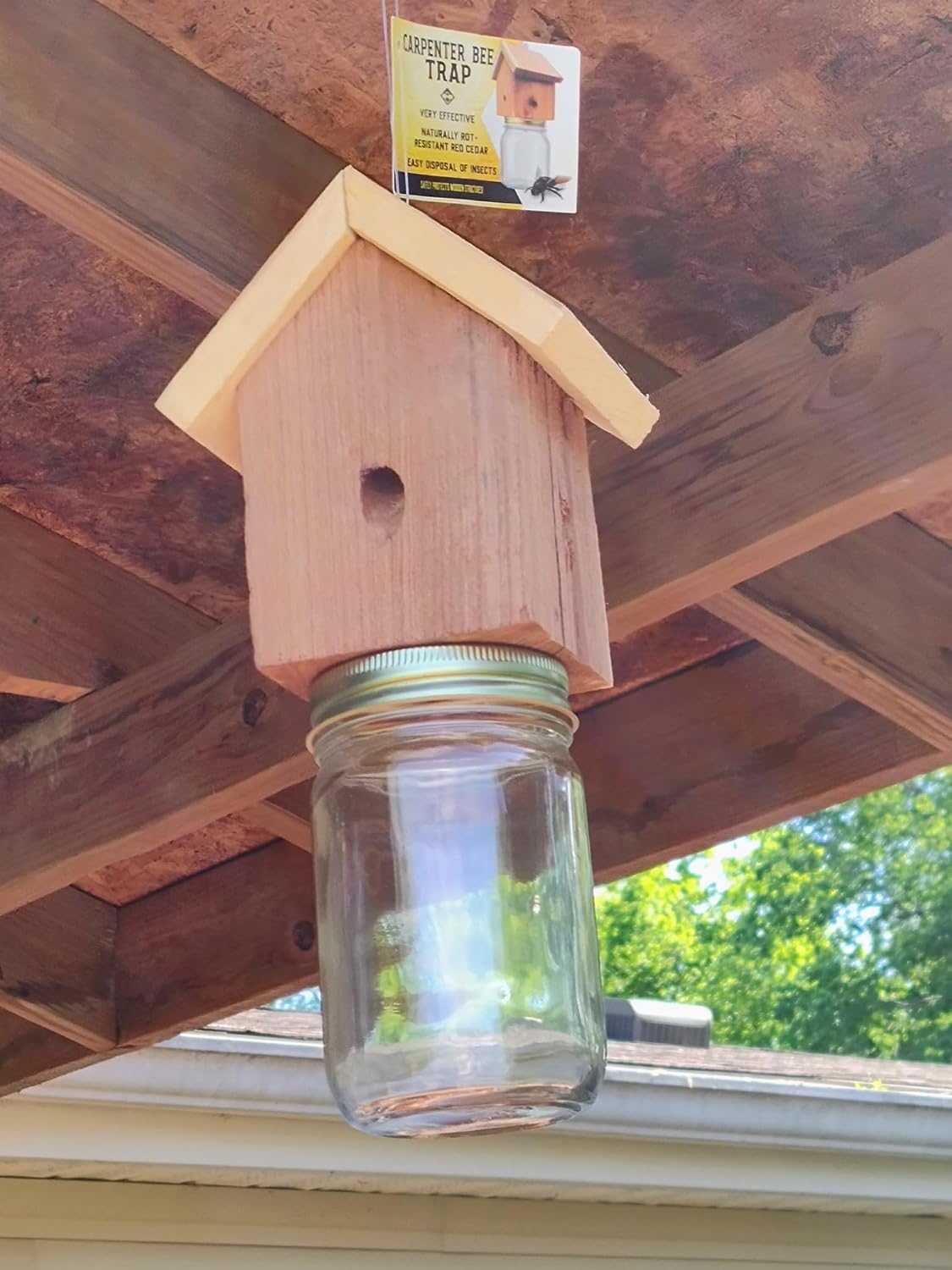 Wood Carpenter Bee Trap for Outside - Wood Boring bee Trap - Amish-Made Rustic Cedar Outdoor Hanging- Insect Traps Removes Carpenter Bee