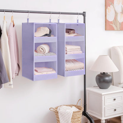GRANNY SAYS 3-Shelf Hanging Closet Organizer and Storage, Collapsible Hanging Closet Shelves, Hanging Organizer for Closet & RV, Gray, 29 ½" H X 12" W X 12" D, 1-Pack