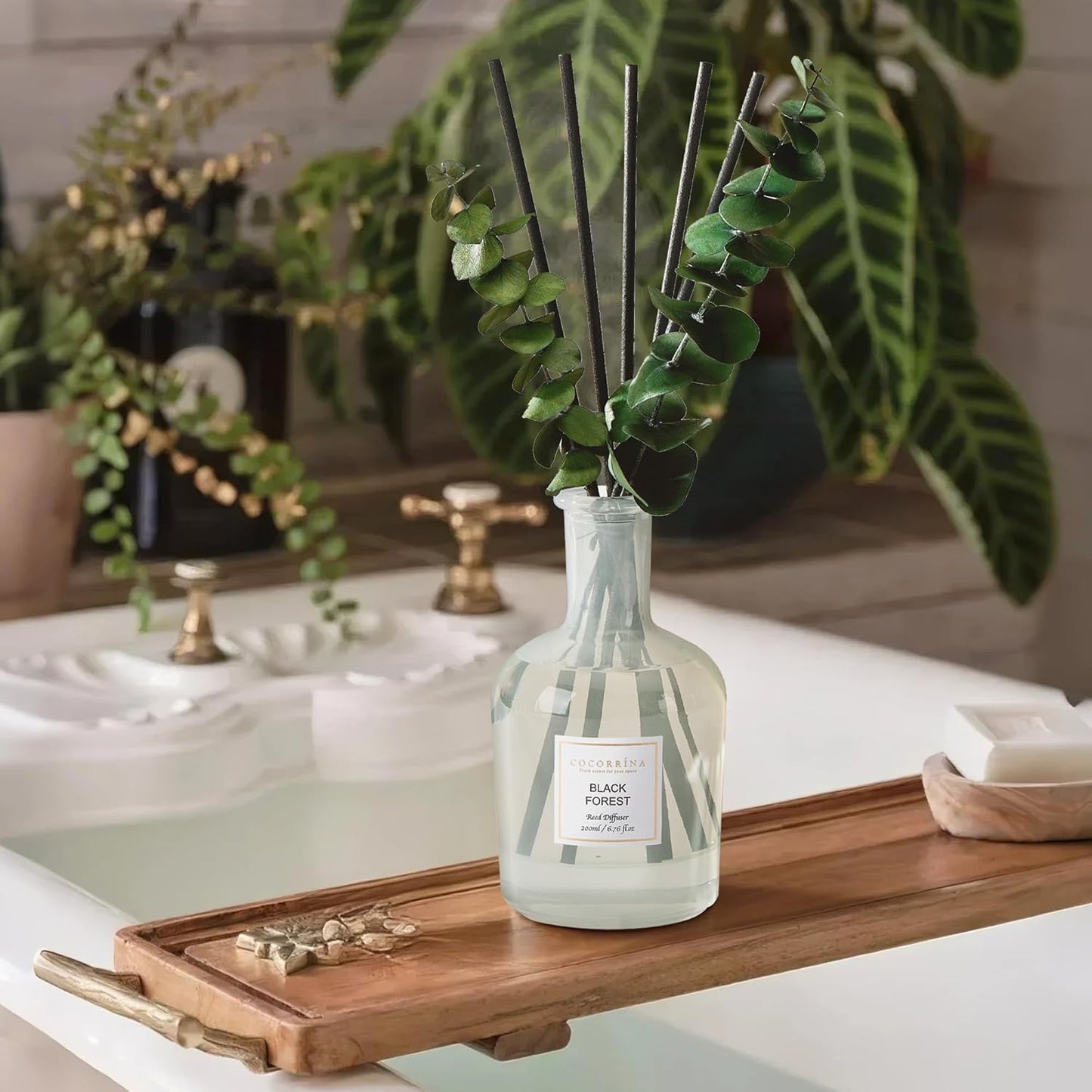 COCORRÍNA Wild Mint & Eucalyptus Reed Diffuser – 6.76 oz Essential Oil with 8 Reeds & Real Eucalyptus Sticks, Home Fragrance for Bedroom or Bathroom Décor