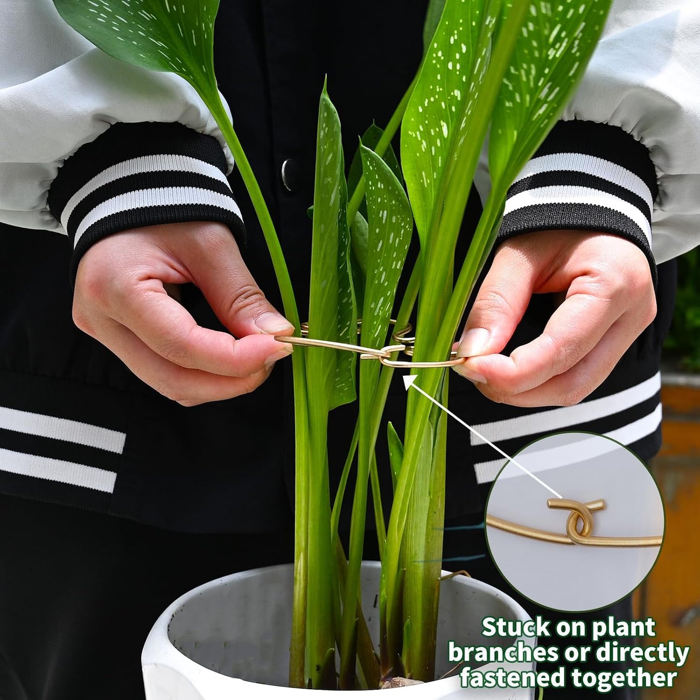 5PCS Monstera Plant Stem Support Stakes - 5.5 * 5.5IN Metal Supports for Monstera and Fishbone Cactus, Sturdy Frame, Easy Installation, Flexible Protection for Healthy Growth Indoors