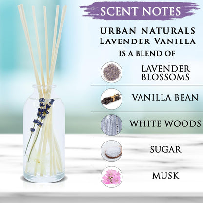 Urban Naturals Smoked Vanilla Reed Diffuser Set with Vanilla Bean, Sandalwood & Leather | Made in the USA - Colors B