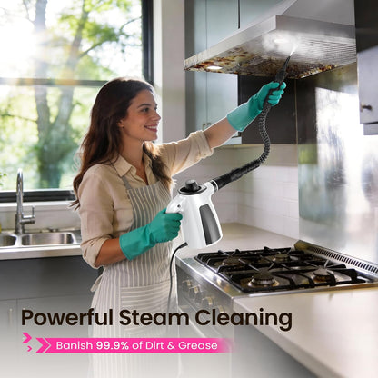 Electric Scrubber, Steam Cleaner