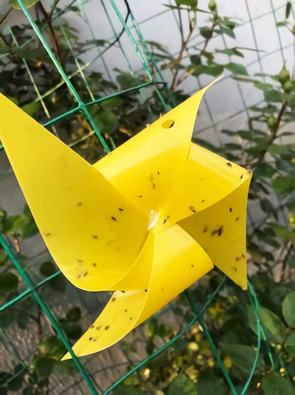 Faicuk Yellow Dual-Sided Sticky Fly Traps for Plant Insect Like Aphids, Fungus Gnats, Leaf Miners and White Flies (30 Pack)