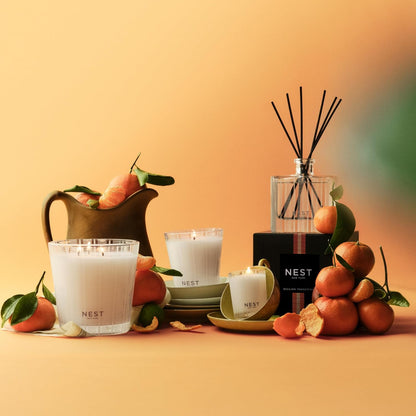 NEST New York Reed Diffuser, Moroccan Amber - 5.9 fl oz - Fragrance for Up to 90 Days - Reusable, Refillable Glass Holder - Includes 8 All-Natural Reed Sticks - Flame Free