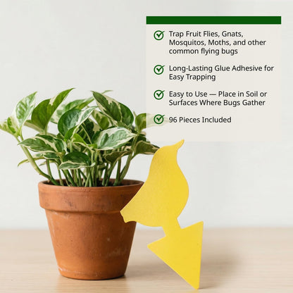 Kate's Home & Garden 36 Count Fruit Fly Traps for Indoors and House. Yellow Sticky Trap for Gnats, Mosquitos, Plants, Ants