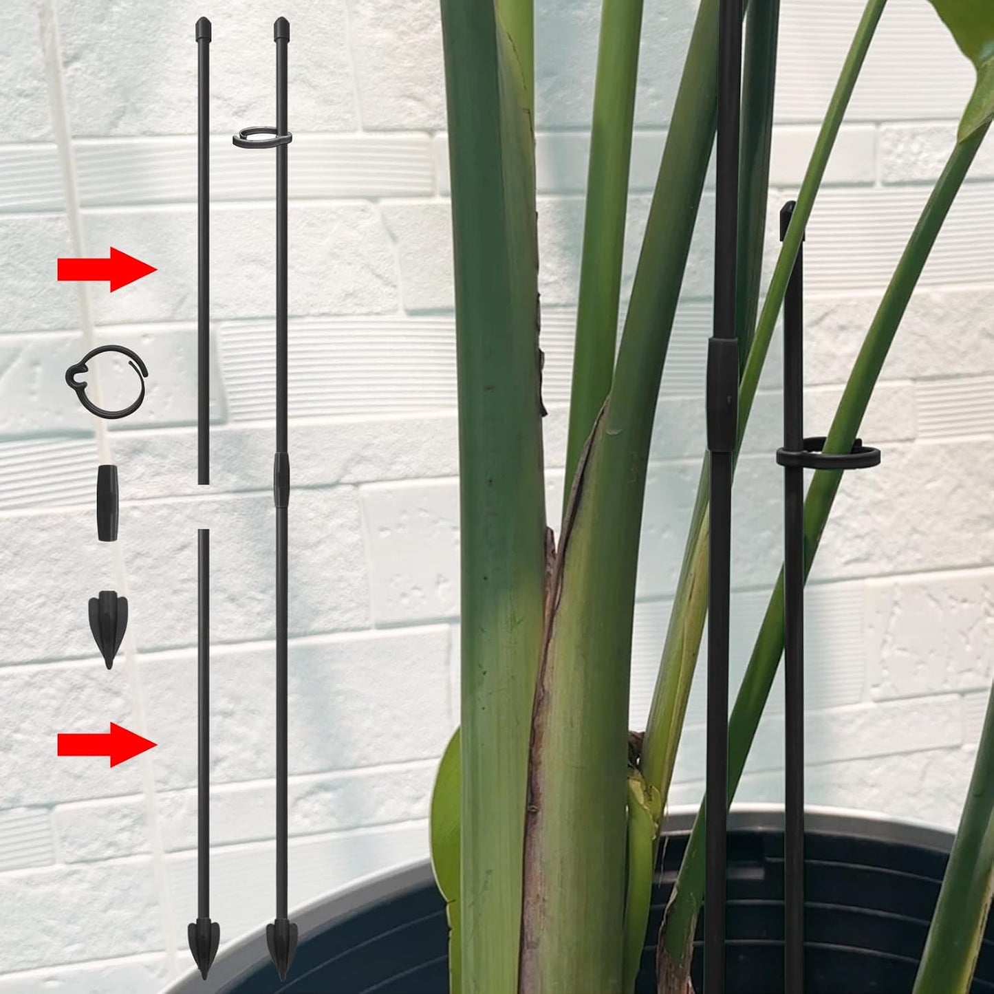 Plant Stakes for Indoor Plants, RIFNY 14 Inch Plant Support Stakes with Clips, Tall Adjustable Plant Sticks for Indoor Monstera Tomato Orchid Potted Plants Flower (6 PCS, Black)