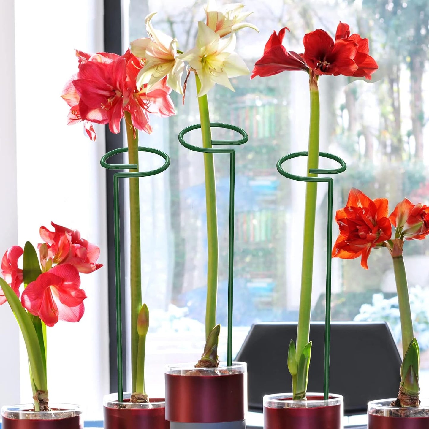 Unves 24 in Plant Stakes, 12 Pack Garden Plant Support Stakes(12" or 24") | Single Stem Plant Cage for Outdoor Indoor Plants Orchid, Tomatoes, Peony, Lily, with 100 Pcs Twist Ties