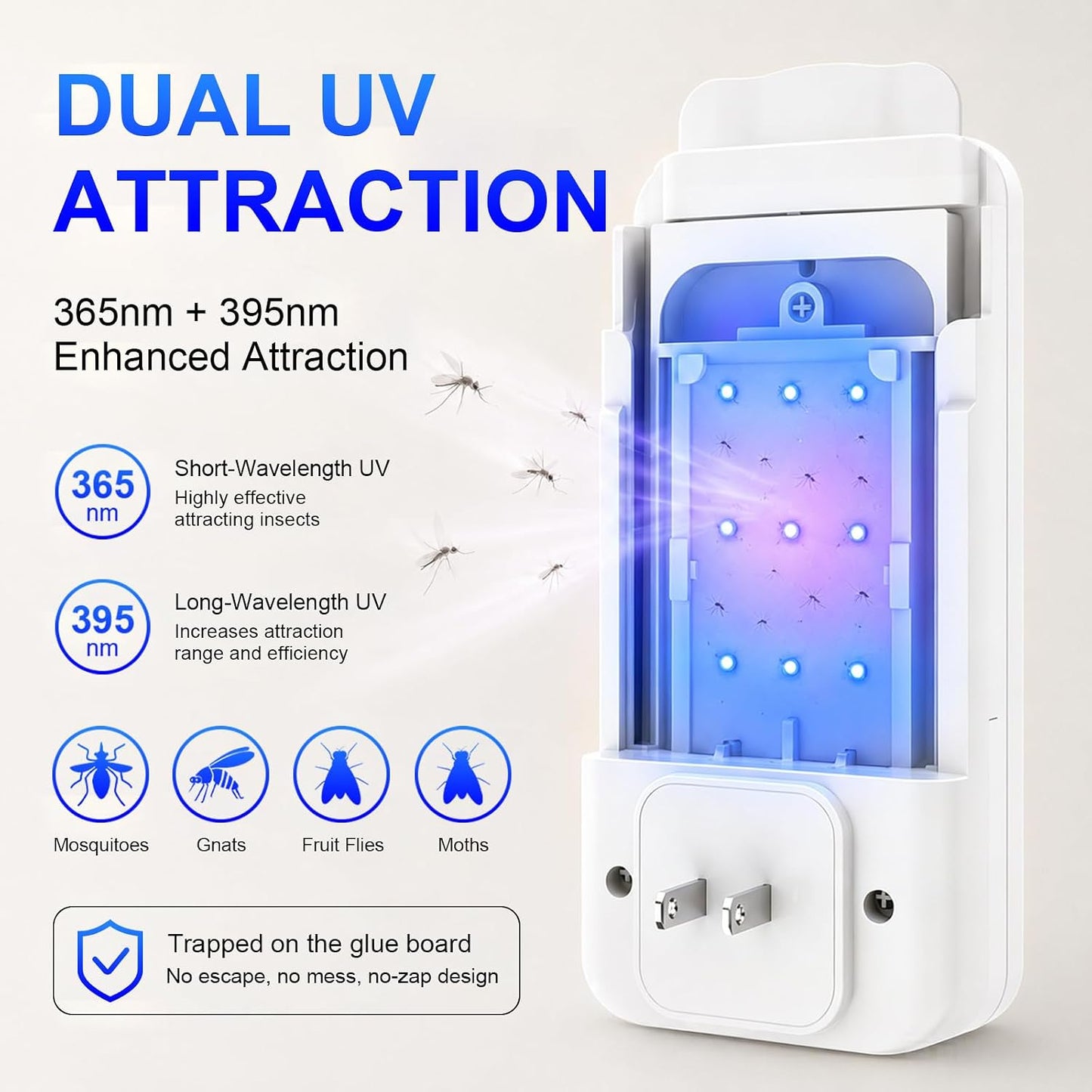 Homesuit Plug-in Fly Trap Indoor, 5W UV & Small Night Light Insect Trap with 10 Sticky Glue Cards, Flying Insect Catcher for Gnats, Moths in Home, Kitchen, Bedroom
