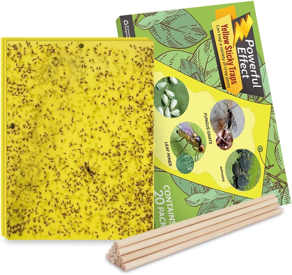 Kensizer 10-Pack Fruit Fly Trap, Yellow Sticky Gnat Trap Killer for Indoor/Outdoor Flying Plant Insect Like Fungus Gnat, Whiteflies, Aphids, Leaf Miners - 6x8 in, Twist Ties Included
