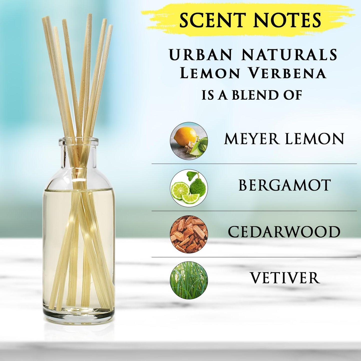 Urban Naturals Smoked Vanilla Reed Diffuser Set with Vanilla Bean, Sandalwood & Leather | Made in the USA - Colors A
