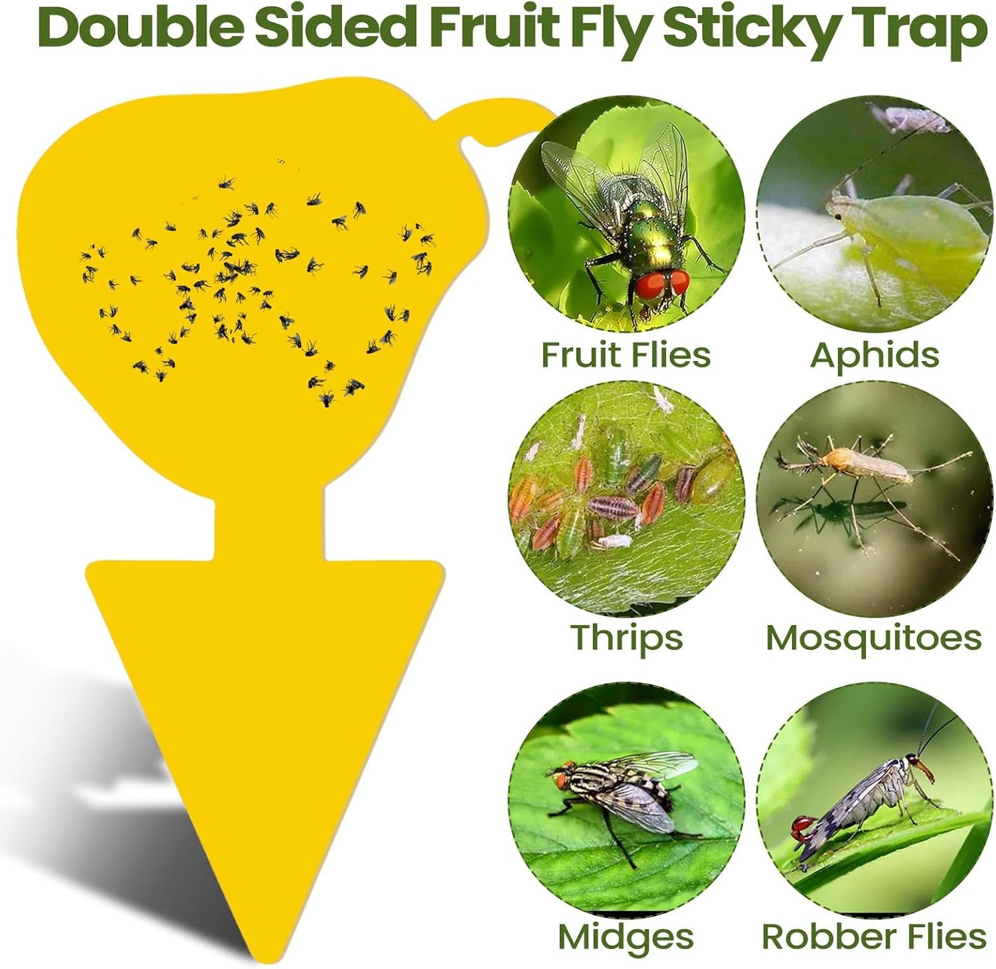 200 Sheets Fruit Fly Sticky Traps for Fruit Fly Gnat Trap for House Indoors Sticky Traps Catcher for Gnats Fungus Gnats Mosquito Catcher for Kitchen Outdoor Plants(Yellow)