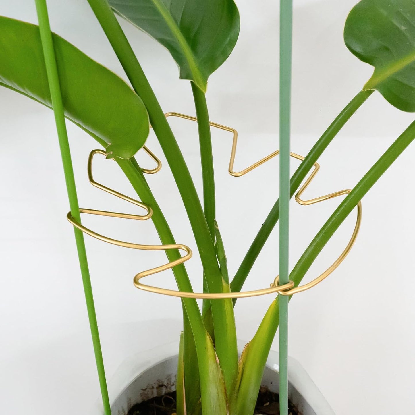 5PCS Monstera Plant Stem Support Stakes - 5.5 * 5.5IN Metal Supports for Monstera and Fishbone Cactus, Sturdy Frame, Easy Installation, Flexible Protection for Healthy Growth Indoors