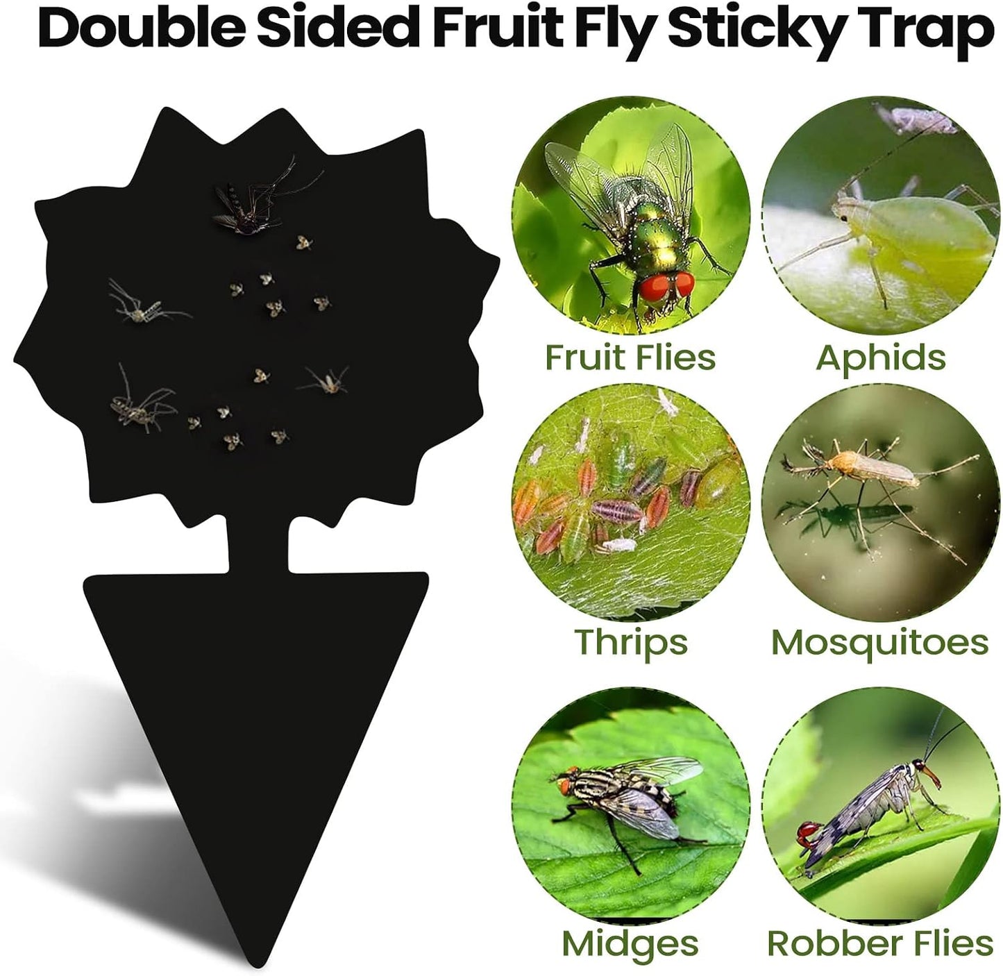 200 Sheets Fruit Fly Sticky Traps for Fruit Fly Gnat Trap for House Indoors Sticky Traps Catcher for Gnats Fungus Gnats Mosquito Catcher for Kitchen Outdoor Plants(Yellow)