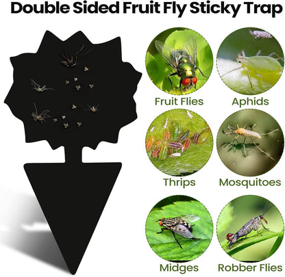 200 Sheets Fruit Fly Sticky Traps for Fruit Fly Gnat Trap for House Indoors Sticky Traps Catcher for Gnats Fungus Gnats Mosquito Catcher for Kitchen Outdoor Plants(Yellow)