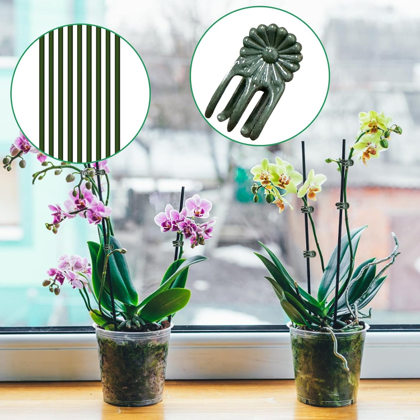 10pcs Green Plant Support Stakes with 15pcs Clips, Bendable Stakes for Tall Plants, Indoor & Outdoor Use