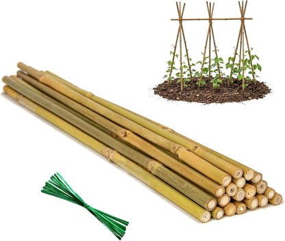 Plant Stakes Natural Bamboo Sticks - 30 Pcs Bamboo Garden Stakes for Plants 4.8 FT Plant Support Sticks with Twist Ties for Tomatoes Beans Flowers Indoor Outdoor Potted Climbing Plants