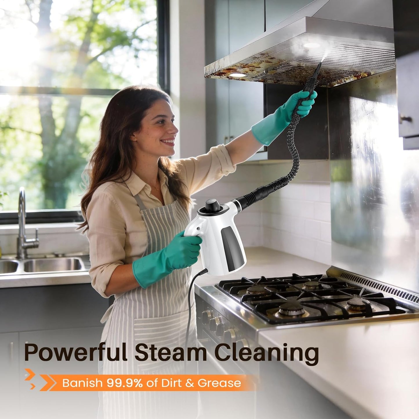 Electric Scrubber, Steam Cleaner
