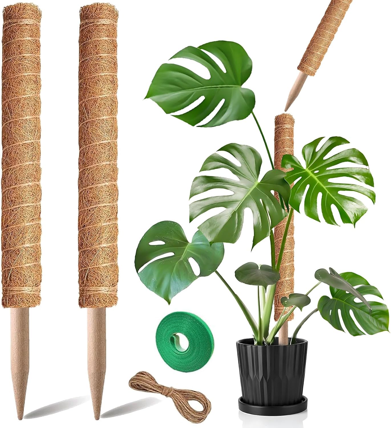 Moss Pole, 4Pack 21 Inch Plant Support Stakes for Indoor Plants, Monstera Plant Support Stakes, 69 Inch Tall Coir Plant Pole Sticks for Potted Plants, Pothos, Philodendron, Climbing Plants Accessories