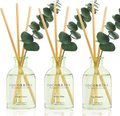 COCORRÍNA Eucalyptus Reed Diffuser Set of 3 - Eucalyptus & Moss, Clean Linen, Ocean Mist Scents, 1.7 fl oz Each, Total 5.1 oz, Scented Oil Diffusers for Home & Office