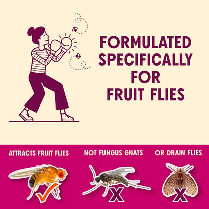 Aunt Fannie's FlyPunch Fruit Fly Trap for Indoor and Kitchen Use, Ready to Use, Made with Plant Based Ingredients, Safe Near Food, Each Bottle Lasts Up to 30 Days, Pack of 1