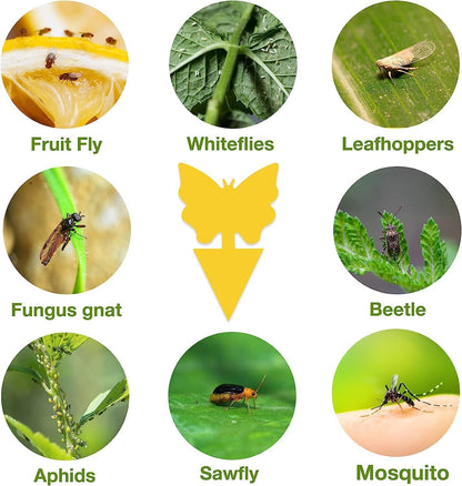 Yellow Sticky Fruit Fly Trap 54 Pack, Gnat Traps for Indoor House Plants | Catches Fungus Gnats, Fruit Fly, Whitefly, Aphid, Leaf Miner, No Harm & Odorless, Safe For Indoor Garden & Outdoor Plant Use