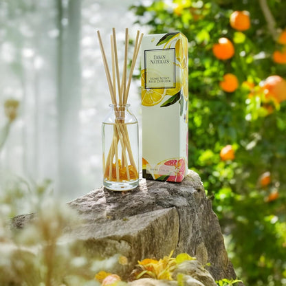 Urban Naturals Smoked Vanilla Reed Diffuser Set with Vanilla Bean, Sandalwood & Leather | Made in the USA - Colors B